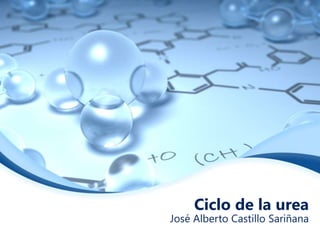 Ciclo de la urea 
José Alberto Castillo Sariñana 
 