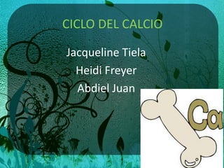 CICLO DEL CALCIO
Jacqueline Tiela
Heidi Freyer
Abdiel Juan
 