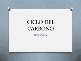 CICLO DEL
CARBONO
  BIOLOGIA
 