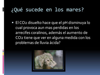 ¿Qué sucede en los mares?

 El CO2 disuelto hace que el pH disminuya lo
  cual provoca aun mas perdidas en los
  arrecifes coralinos, además el aumento de
  CO2 tiene que ver en alguna medida con los
  problemas de lluvia ácida?
 