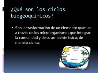 ¿Qué son los ciclos
biogeoquimicos?

 Son la trasformación de un elemento químico
  a través de los microorganismos que integran
  la comunidad y de su ambiente físico, de
  manera cíclica.
 