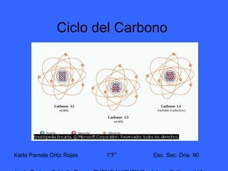 Ciclo del Carbono
Karla Pamela Ortiz Rojas 1”F” Esc. Sec. Dna. 90
 