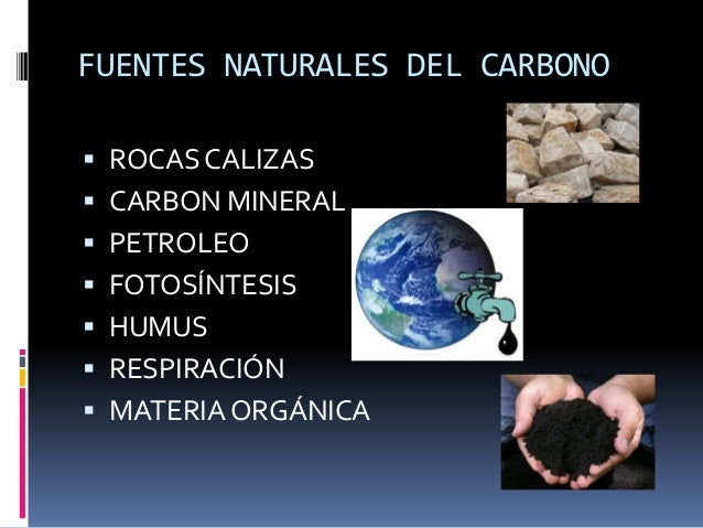 Ciclo del carbono