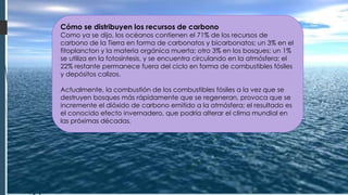 Cómo se distribuyen los recursos de carbono
Como ya se dijo, los océanos contienen el 71% de los recursos de
carbono de la Tierra en forma de carbonatos y bicarbonatos; un 3% en el
fitoplancton y la materia orgánica muerta; otro 3% en los bosques; un 1%
se utiliza en la fotosíntesis, y se encuentra circulando en la atmósfera; el
22% restante permanece fuera del ciclo en forma de combustibles fósiles
y depósitos calizos.
Actualmente, la combustión de los combustibles fósiles a la vez que se
destruyen bosques más rápidamente que se regeneran, provoca que se
incremente el dióxido de carbono emitido a la atmósfera; el resultado es
el conocido efecto invernadero, que podría alterar el clima mundial en
las próximas décadas.
 