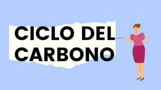 CICLO DEL
CARBONO
 
