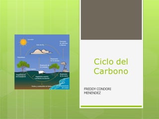 Ciclo del
Carbono
FREDDY CONDORI
MENENDEZ
 