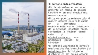 El ciclo del carbono, y los diferentes tipos de ecosistemas | PPTX