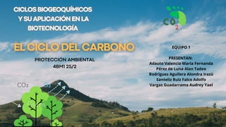 CICLOSBIOGEOQUÍMICOS
YSUAPLICACIÓNENLA
BIOTECNOLOGÍA
CICLOSBIOGEOQUÍMICOS
YSUAPLICACIÓNENLA
BIOTECNOLOGÍA
-
EQUIPO 1
PRESENTAN:
Adauto Valencia María Fernanda
Pérez de Luna Alan Tadeo
Rodríguez Aguilera Alondra Irazú
Santeliz Ruiz Falco Adolfo
Vargas Guadarrama Audrey Yael
PROTECCIÓN AMBIENTAL
4BM1 25/2
 