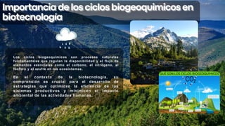 Importanciadelosciclosbiogeoquimicosen
Importanciadelosciclosbiogeoquimicosen
biotecnología
biotecnología
Los ciclos biogeoquímicos son procesos naturales
fundamentales que regulan la disponibilidad y el flujo de
elementos esenciales como el carbono, el nitrógeno, el
fósforo y el azufre en los ecosistemas.
En el contexto de la biotecnología, su
comprensión es crucial para el desarrollo de
estrategias que optimicen la eficiencia de los
sistemas productivos y minimicen el impacto
ambiental de las actividades humanas.
 