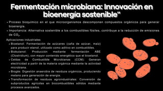 Proceso bioquímico en el que microorganismos descomponen compuestos orgánicos para generar
bioenergía.
Importancia: Alternativa sostenible a los combustibles fósiles, contribuye a la reducción de emisiones
de CO₂.
Aplicaciones industriales
Bioetanol: Fermentación de azúcares (caña de azúcar, maíz)
para producir etanol, utilizado como aditivo en combustibles.
Biobutanol: Producción mediante fermentación ABE
(Clostridium), con mayor contenido energético que el bioetanol.
Celdas de Combustible Microbianas (CCM): Generan
electricidad a partir de la materia orgánica mediante la actividad
microbiana.
Biogás: Digestión anaerobia de residuos orgánicos, produciendo
metano para generación de energía.
Transformación de residuos agroindustriales: Conversión de
subproductos agrícolas en biocombustibles sólidos mediante
procesos avanzados.
Fermentaciónmicrobiana:Innovaciónen
Fermentaciónmicrobiana:Innovaciónen
bioenergíasostenible"
bioenergíasostenible"
 