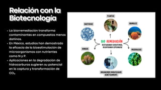 Relaciónconla
Relaciónconla
Biotecnología
Biotecnología
La biorremediación transforma
contaminantes en compuestos menos
dañinos.
En México, estudios han demostrado
la eficacia de la bioestimulación de
microorganismos con nutrientes
como N y P.
Aplicaciones en la degradación de
hidrocarburos sugieren su potencial
en la captura y transformación de
CO₂.
 