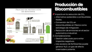Producciónde
Producciónde
Biocombustibles
Biocombustibles
📌Impacto en la reducción de CO₂
Alternativa sostenible a combustibles
fósiles.
Conversión de CO₂ en
biocombustibles en México como
estrategia de mitigación.
Reducción de emisiones en el sector
automotriz e industrial.
⚠️ Consideraciones
Gestión adecuada para evitar
impactos negativos.
Uso excesivo de fertilizantes puede
generar N₂O, un gas de efecto
invernadero potente.
 