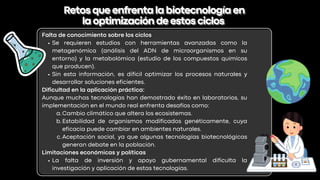 Falta de conocimiento sobre los ciclos
Se requieren estudios con herramientas avanzadas como la
metagenómica (análisis del ADN de microorganismos en su
entorno) y la metabolómica (estudio de los compuestos químicos
que producen).
Sin esta información, es difícil optimizar los procesos naturales y
desarrollar soluciones eficientes.
Dificultad en la aplicación práctica:
Aunque muchas tecnologías han demostrado éxito en laboratorios, su
implementación en el mundo real enfrenta desafíos como:
Cambio climático que altera los ecosistemas.
a.
Estabilidad de organismos modificados genéticamente, cuya
eficacia puede cambiar en ambientes naturales.
b.
Aceptación social, ya que algunas tecnologías biotecnológicas
generan debate en la población.
c.
Limitaciones económicas y políticas
La falta de inversión y apoyo gubernamental dificulta la
investigación y aplicación de estas tecnologías.
Retosqueenfrentalabiotecnologíaen
Retosqueenfrentalabiotecnologíaen
laoptimizacióndeestosciclos
laoptimizacióndeestosciclos
 