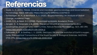 Gadd, G. M. (2010). Metals, minerals and microbes: geomicrobiology and bioremediation.
Microbiology, 156(3), 609-643. https://doi.org/10.1099/mic.0.037143-0
Schlesinger, W. H., & Bernhardt, E. S. (2020). Biogeochemistry: An Analysis of Global
Change. Academic Press.
Smith, S. E., & Read, D. J. (2008). Mycorrhizal symbiosis. Academic Press.
Zengler, K., & Zaramela, L. S. (2018). The social network of microorganisms—how
auxotrophies shape complex communities. Nature Reviews Microbiology, 16(7), 383-390.
https://doi.org/10.1038/s41579-018-0004-5
Falkowski, P. G., & Godfrey, L. V. (2008). Electrons, life and the evolution of Earth's oxygen
cycle. Philosophical Transactions of the Royal Society B: Biological Sciences, 363(1504),
2705-2716. https://doi.org/10.1098/rstb.2008.0054
 