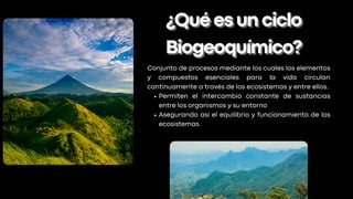 Conjunto de procesos mediante los cuales los elementos
y compuestos esenciales para la vida circulan
continuamente a través de los ecosistemas y entre ellos.
Permiten el intercambio constante de sustancias
entre los organismos y su entorno
Asegurando así el equilibrio y funcionamiento de los
ecosistemas.
¿Quéesunciclo
¿Quéesunciclo
Biogeoquímico?
Biogeoquímico?
 
