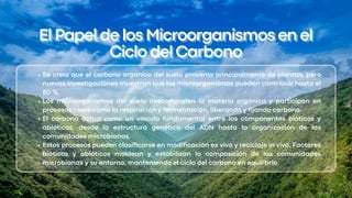 ElPapeldelosMicroorganismosenel
ElPapeldelosMicroorganismosenel
CiclodelCarbono
CiclodelCarbono
Se creía que el carbono orgánico del suelo provenía principalmente de plantas, pero
nuevas investigaciones muestran que los microorganismos pueden contribuir hasta el
80 %.
Los microorganismos del suelo descomponen la materia orgánica y participan en
procesos clave como la respiración y fermentación, liberando y fijando carbono.
El carbono actúa como un vínculo fundamental entre los componentes bióticos y
abióticos, desde la estructura genética del ADN hasta la organización de las
comunidades microbianas.
Estos procesos pueden clasificarse en modificación ex vivo y reciclaje in vivo. Factores
bióticos y abióticos moldean y estabilizan la composición de las comunidades
microbianas y su entorno, manteniendo el ciclo del carbono en equilibrio.
 