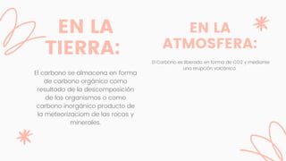 EN LA
TIERRA:
El carbono se almacena en forma
de carbono orgánico como
resultado de la descomposición
de los organismos o como
carbono inorgánico producto de
la meteorizaciom de las rocas y
minerales.
EN LA
ATMOSFERA:
El Carbono es liberado en forma de CO2 y mediante
una erupción volcánica
 