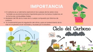 IMPORTANCIA
El carbono es un elemento esencial en los cuerpos de los seres vivos.
También es económicamente importante para los humanos modernos, en
la forma de combustibles fósiles.
Alrededor del 18% de la masa de tu cuerpo compuesto por átomos de
carbono
Es fundamental para la regulación del clima y para el sostenimiento de la
vida en el planeta al ser reciclado y reusado por la biosfera.
 
