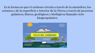Es la forma en que el carbono circula a través de la atmósfera, los
océanos y de la superficie e interior de la Tierra a través de procesos
químicos, físicos, geológicos y biológicos llamado ciclo
biogeoquímico.
 