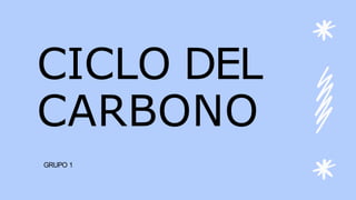 CICLO DEL
CARBONO
GRUPO 1
 