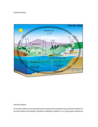 Ciclo del carbono
Ciclo del carbono.
El ciclo del carbono son las transformaciones químicas de compuestos que contienen carbono en
los intercambios entre biosfera, atmósfera, hidrosfera y litosfera. Es un ciclo de gran importancia
 