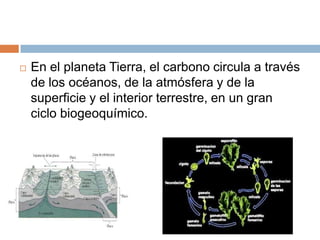 En el planeta Tierra, el carbono circula a través de los océanos, de la atmósfera y de la superficie y el interior terrestre, en un gran ciclo biogeoquímico. 