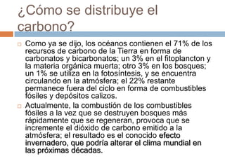 ¿Cómo se distribuye el carbono?Como ya se dijo, los océanos contienen el 71% de los recursos de carbono de la Tierra en forma de carbonatos y bicarbonatos; un 3% en el fitoplancton y la materia orgánica muerta; otro 3% en los bosques; un 1% se utiliza en la fotosíntesis, y se encuentra circulando en la atmósfera; el 22% restante permanece fuera del ciclo en forma de combustibles fósiles y depósitos calizos.Actualmente, la combustión de los combustibles fósiles a la vez que se destruyen bosques más rápidamente que se regeneran, provoca que se incremente el dióxido de carbono emitido a la atmósfera; el resultado es el conocido efecto invernadero, que podría alterar el clima mundial en las próximas décadas.