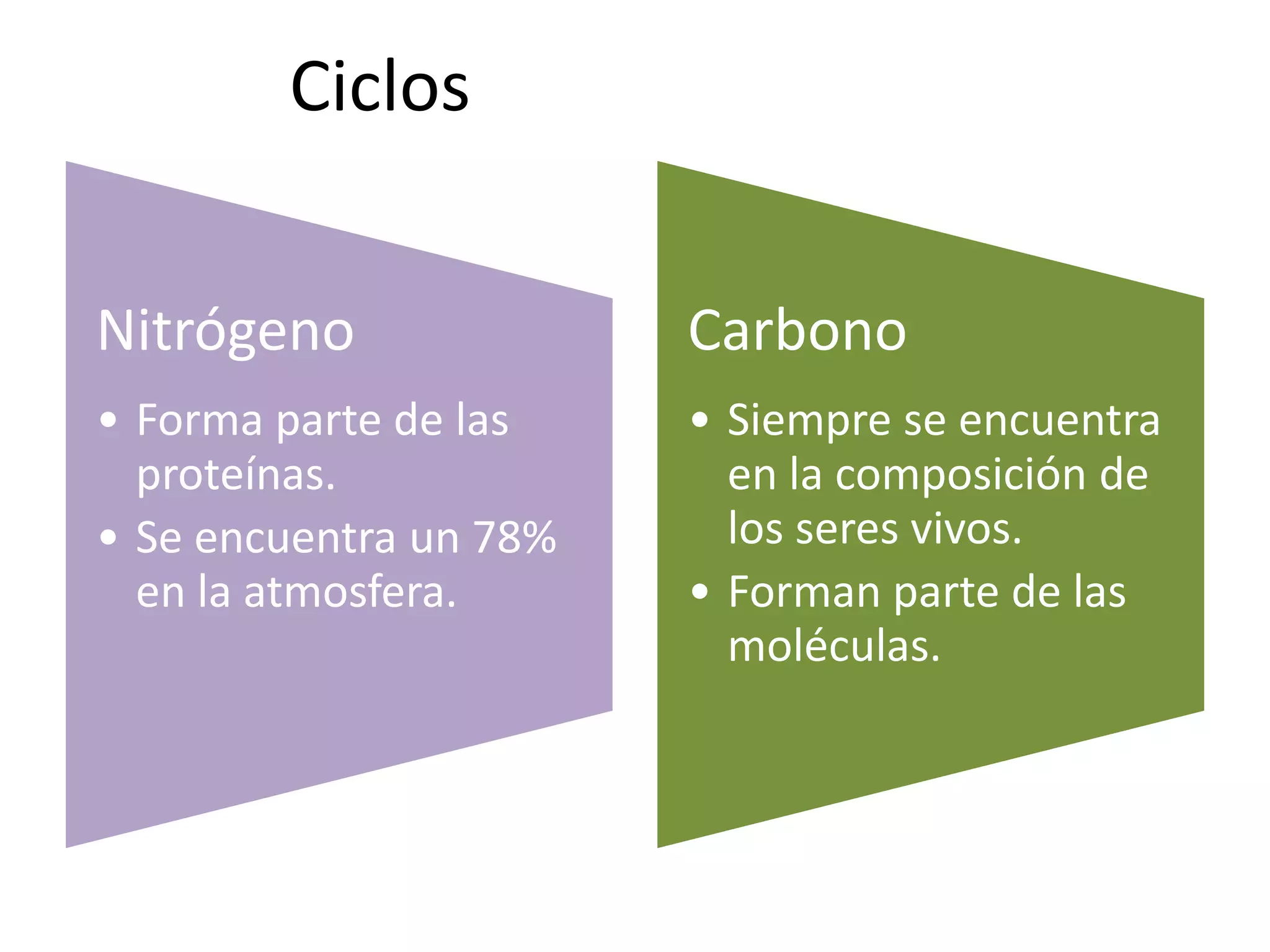 Ciclos
Nitrógeno
• Forma parte de las
proteínas.
• Se encuentra un 78%
en la atmosfera.
Carbono
• Siempre se encuentra
en la composición de
los seres vivos.
• Forman parte de las
moléculas.
 