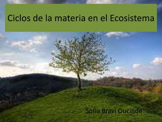 Ciclos de la materia en el Ecosistema
Sofia Bravi Oucinde
 