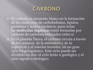    El carbono es elemento básico en la formación
    de las moléculas de carbohidratos, lípidos,
    proteínas y ácidos nucléicos, pues todas
    las moléculas orgánicas están formadas por
    cadenas de carbonos enlazados entre sí.
   En el planeta Tierra, el carbono circula a través
    de los océanos, de la atmósfera y de la
    superficie y el interior terrestre, en un gran
    ciclo biogeoquímico. Este ciclo puede ser
    dividido en dos: el ciclo lento o geológico y el
    ciclo rápido o biológico.
 