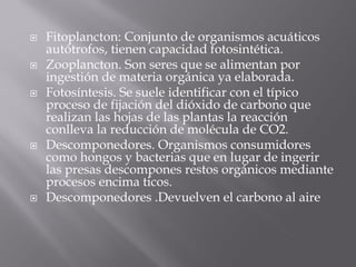    Fitoplancton: Conjunto de organismos acuáticos
    autótrofos, tienen capacidad fotosintética.
   Zooplancton. Son seres que se alimentan por
    ingestión de materia orgánica ya elaborada.
   Fotosíntesis. Se suele identificar con el típico
    proceso de fijación del dióxido de carbono que
    realizan las hojas de las plantas la reacción
    conlleva la reducción de molécula de CO2.
   Descomponedores. Organismos consumidores
    como hongos y bacterias que en lugar de ingerir
    las presas descompones restos orgánicos mediante
    procesos encima ticos.
   Descomponedores .Devuelven el carbono al aire
 