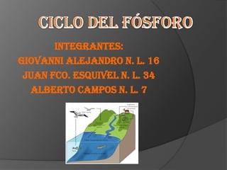 Ciclo del fósforo Integrantes: Giovanni Alejandro n. l. 16 Juan fco. Esquivel n. l. 34 Alberto campos n. l. 7 