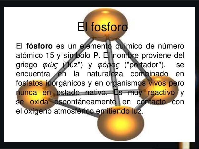 Ciclo del fosforo