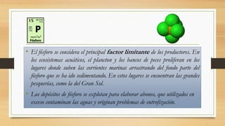 • El fósforo se considera el principal factor limitante de los productores. En
los ecosistemas acuáticos, el plancton y los bancos de peces proliferan en los
lugares donde suben las corrientes marinas arrastrando del fondo parte del
fósforo que se ha ido sedimentando. En estos lugares se encuentran las grandes
pesquerías, como la del Gran Sol.
• Los depósitos de fósforo se explotan para elaborar abonos, que utilizados en
exceso contaminan las aguas y originan problemas de eutrofización.
 