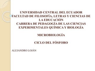 UNIVERSIDAD CENTRAL DEL ECUADOR
FACULTAD DE FILOSOFÍA, LETRAS Y CIENCIAS DE
LA EDUCACIÓN
CARRERA DE PEDAGOGÍA DE LAS CIENCIAS
EXPERIMENTALES QUÍMICA Y BIOLOGÍA
MICROBIOLOGÍA
CICLO DEL FÓSFORO
ALEJANDRO LOJÁN
 