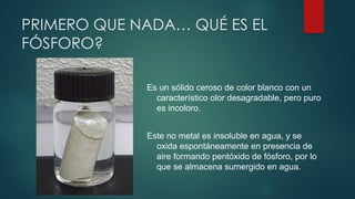CICLO DEL FOSFORO en el medio ambiente.. | PPTX