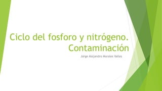 Ciclo del fosforo y nitrógeno.
Contaminación
Jorge Alejandro Morales Valles
 