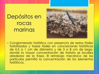 Depósitos en
rocas
marinas
 Conglomerado fosfático con presencia de restos fósiles
fosfatizados y trazas fósiles en concreciones fosfáticas
de 0,5 a 1 cm de diámetro y de 3 a 8 cm de largo,
donde la mayor concentración de fosfato se localiza
alrededor de la traza. El retrabajo mecánico de las
partículas permitió la concentración de los elementos
fosfáticos.
 