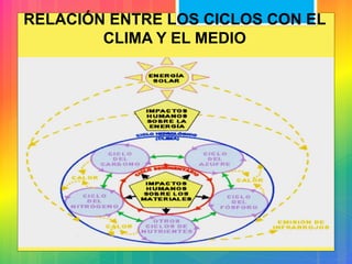 RELACIÓN ENTRE LOS CICLOS CON EL
CLIMA Y EL MEDIO
 