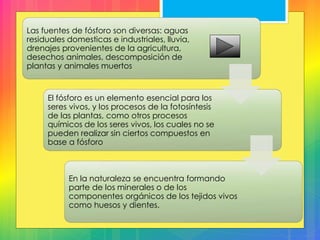 Las fuentes de fósforo son diversas: aguas
residuales domesticas e industriales, lluvia,
drenajes provenientes de la agricultura,
desechos animales, descomposición de
plantas y animales muertos
El fósforo es un elemento esencial para los
seres vivos, y los procesos de la fotosíntesis
de las plantas, como otros procesos
químicos de los seres vivos, los cuales no se
pueden realizar sin ciertos compuestos en
base a fósforo
En la naturaleza se encuentra formando
parte de los minerales o de los
componentes orgánicos de los tejidos vivos
como huesos y dientes.
 