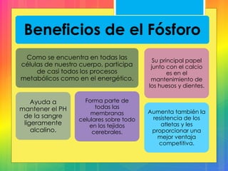 Beneficios de el Fósforo
Como se encuentra en todas las
células de nuestro cuerpo, participa
de casi todos los procesos
metabólicos como en el energético.
Ayuda a
mantener el PH
de la sangre
ligeramente
alcalino.
Forma parte de
todas las
membranas
celulares sobre todo
en los tejidos
cerebrales.
Su principal papel
junto con el calcio
es en el
mantenimiento de
los huesos y dientes.
Aumenta también la
resistencia de los
atletas y les
proporcionar una
mejor ventaja
competitiva.
 