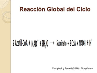 Reacción Global del Ciclo




           Campbell y Farrell (2010). Bioquímica.
 