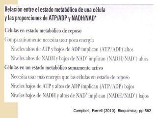 Campbell, Farrell (2010). Bioquímica; pp 562
 