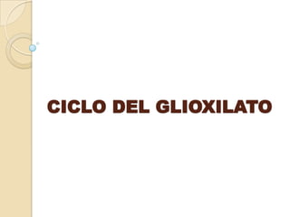 CICLO DEL GLIOXILATO
 