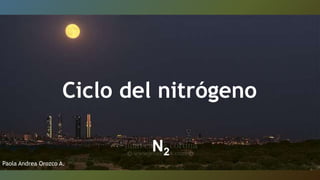 Ciclo del nitrógeno
N2
Paola Andrea Orozco A.
 