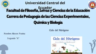 FacultaddeFilosofía,LetrasyCienciasdelaEducación
CarreradePedagogíadelasCienciasExperimentales,
QuímicayBiología
Nombre:Alisson Punina
Universidad Central del
Ecuador
Ciclo del Nitrógeno
Segundo "A"
 