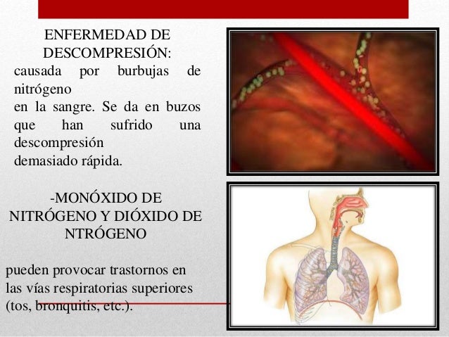 Ciclo del nitrógeno