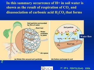 Summary of soil water chemistry In this summary occurrence of H+ in soil water is shown as the result of respiration of CO 2  and disassociation of carbonic acid H 2 CO 3  that forms Water flow 