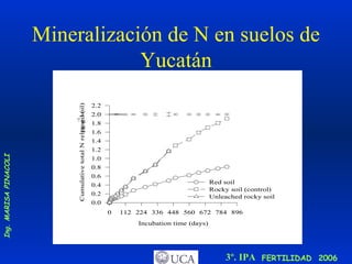 Mineralización de N en suelos de Yucatán 