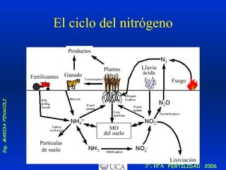El ciclo del nitrógeno Productos Fertilizantes Ganado Plantas MO del suelo Fuego Partículas de suelo Lixiviación Lluvia ácida 